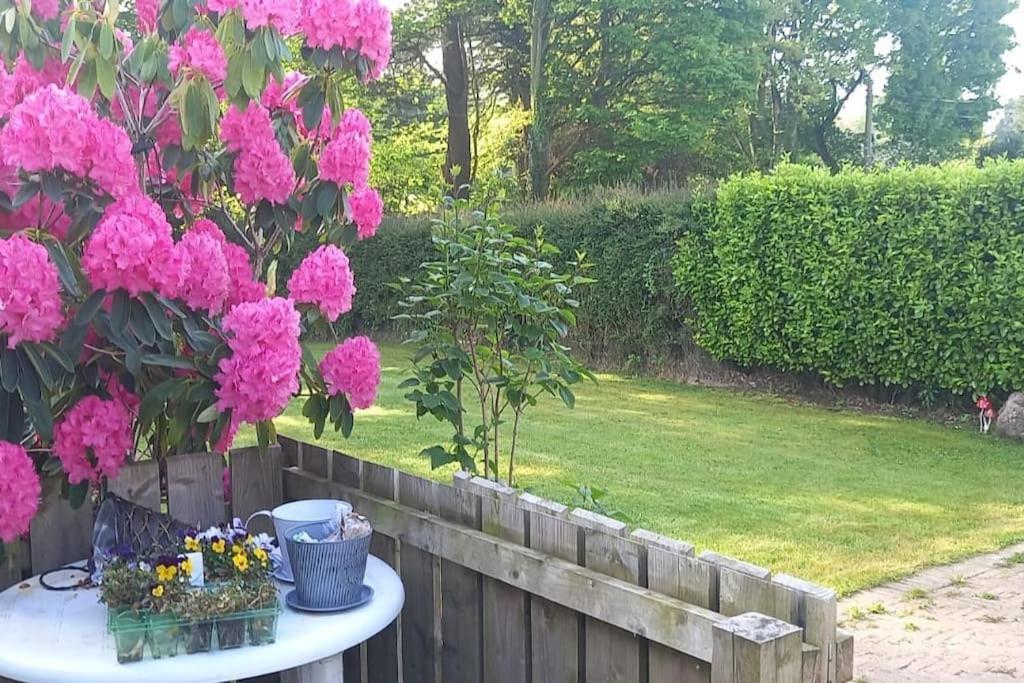 Coast Road Retreat-a Stunning 3 Bed In Hébergement de vacances *